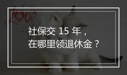 社保交 15 年，在哪里领退休金？