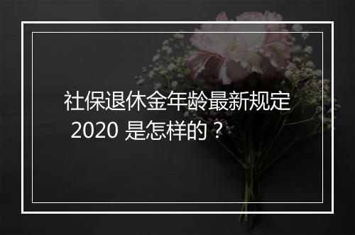 社保退休金年龄最新规定 2020 是怎样的？