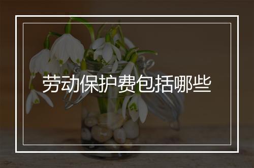 劳动保护费包括哪些