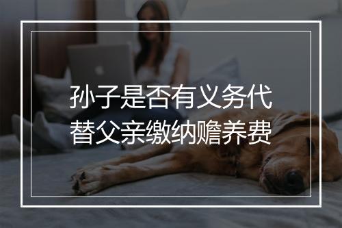 孙子是否有义务代替父亲缴纳赡养费