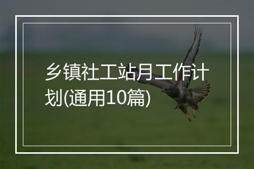 乡镇社工站月工作计划(通用10篇)