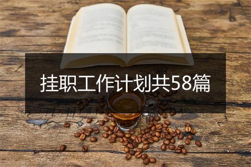挂职工作计划共58篇
