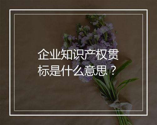 企业知识产权贯标是什么意思？
