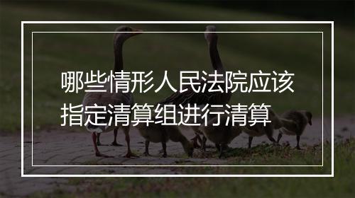 哪些情形人民法院应该指定清算组进行清算