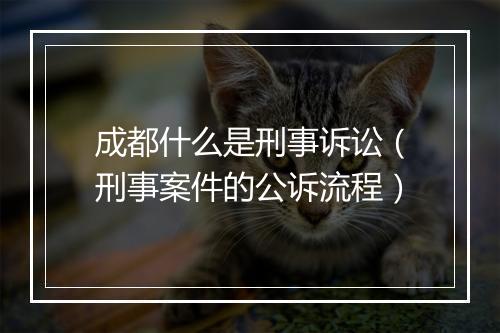 成都什么是刑事诉讼（刑事案件的公诉流程）