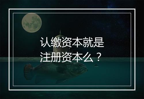 认缴资本就是注册资本么？