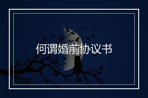 何谓婚前协议书
