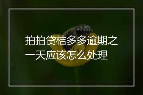 拍拍贷桔多多逾期之一天应该怎么处理