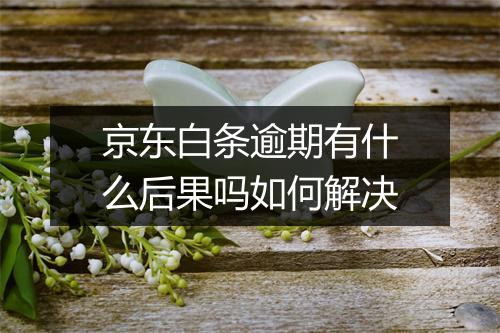 京东白条逾期有什么后果吗如何解决
