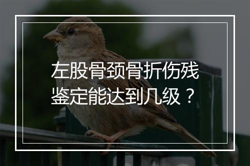 左股骨颈骨折伤残鉴定能达到几级？