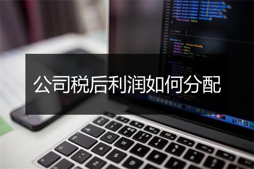 公司税后利润如何分配