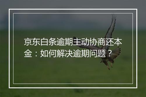 京东白条逾期主动协商还本金：如何解决逾期问题？