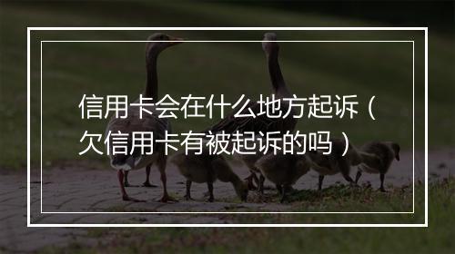 信用卡会在什么地方起诉（欠信用卡有被起诉的吗）