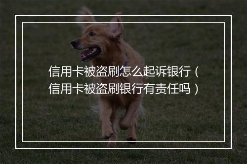 信用卡被盗刷怎么起诉银行（信用卡被盗刷银行有责任吗）