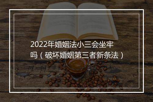 2022年婚姻法小三会坐牢吗（破坏婚姻第三者新条法）