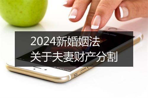 2024新婚姻法关于夫妻财产分割