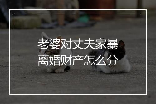 老婆对丈夫家暴离婚财产怎么分