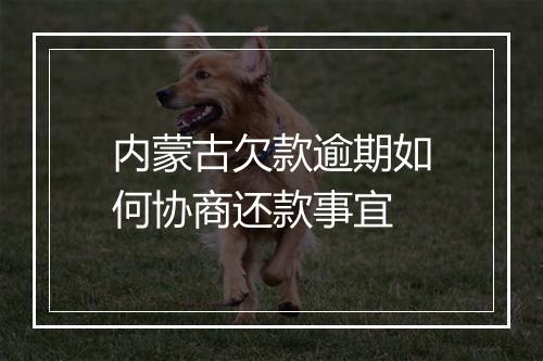 内蒙古欠款逾期如何协商还款事宜