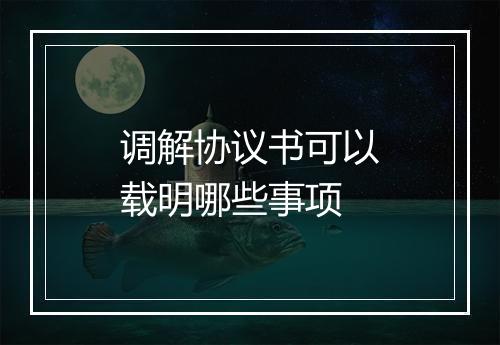 调解协议书可以载明哪些事项