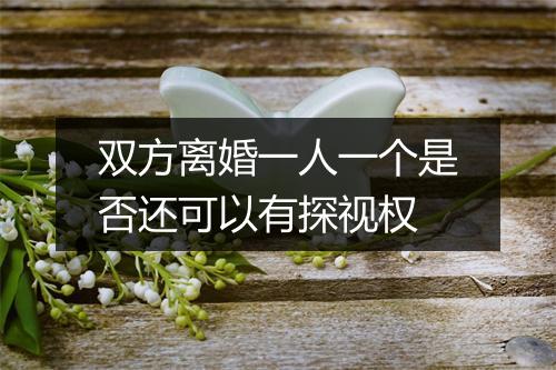 双方离婚一人一个是否还可以有探视权