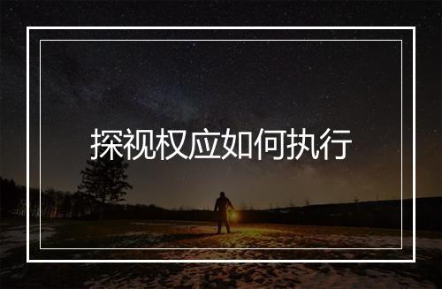 探视权应如何执行