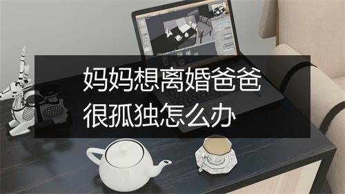 妈妈想离婚爸爸很孤独怎么办