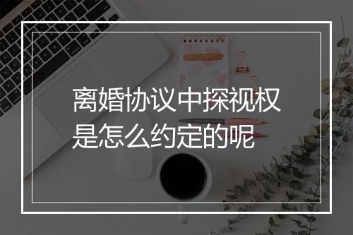 离婚协议中探视权是怎么约定的呢