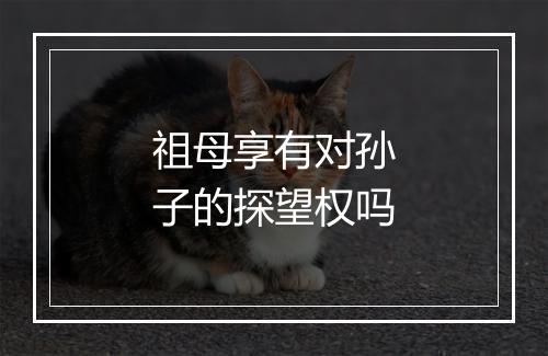 祖母享有对孙子的探望权吗