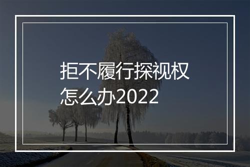 拒不履行探视权怎么办2022