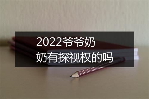 2022爷爷奶奶有探视权的吗
