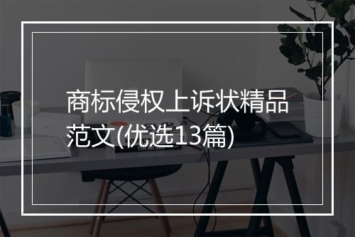 商标侵权上诉状精品范文(优选13篇)