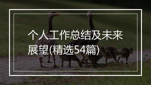 个人工作总结及未来展望(精选54篇)