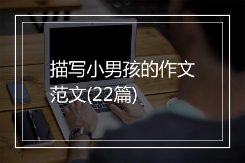 描写小男孩的作文范文(22篇)