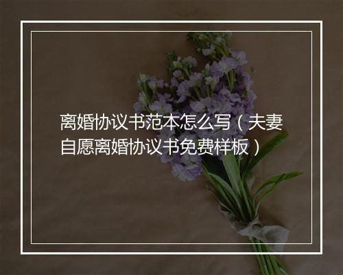 离婚协议书范本怎么写（夫妻自愿离婚协议书免费样板）