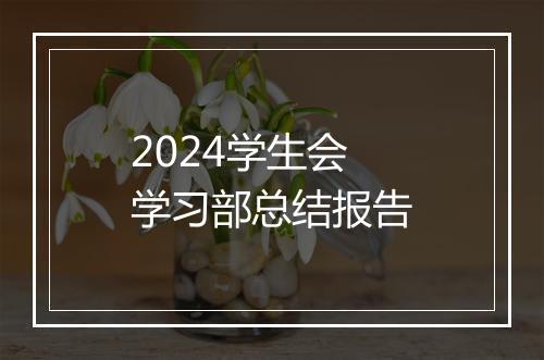 2024学生会学习部总结报告