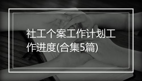 社工个案工作计划工作进度(合集5篇)