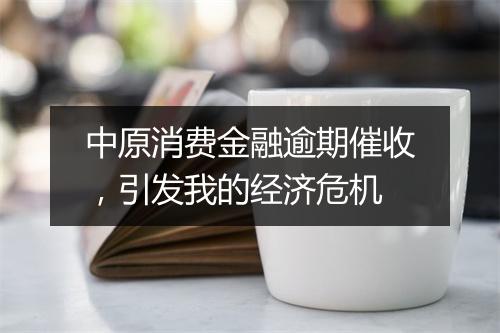 中原消费金融逾期催收，引发我的经济危机