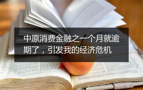 中原消费金融之一个月就逾期了，引发我的经济危机