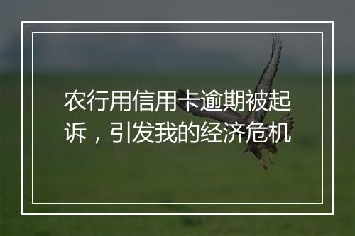 农行用信用卡逾期被起诉，引发我的经济危机