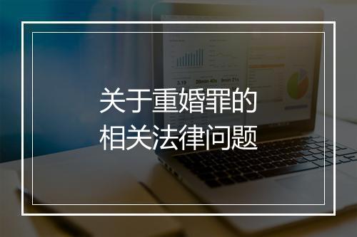 关于重婚罪的相关法律问题