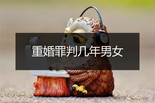 重婚罪判几年男女