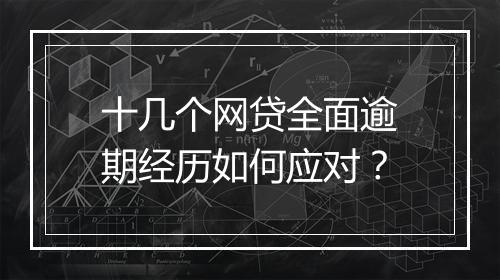 十几个网贷全面逾期经历如何应对？