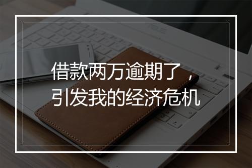 借款两万逾期了，引发我的经济危机