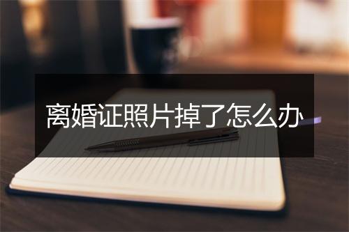 离婚证照片掉了怎么办