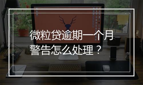 微粒贷逾期一个月警告怎么处理？