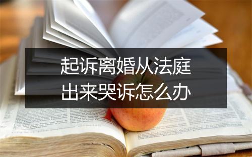 起诉离婚从法庭出来哭诉怎么办