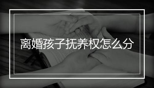 离婚孩子抚养权怎么分