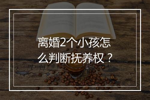 离婚2个小孩怎么判断抚养权？