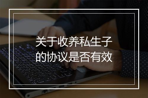 关于收养私生子的协议是否有效