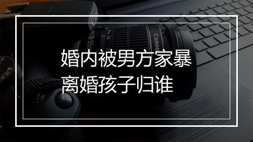 婚内被男方家暴离婚孩子归谁